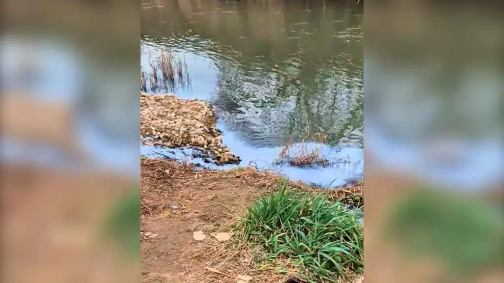 Un pescador graba un raro fenómeno en un río y se ve obligado a abandonar la zona.