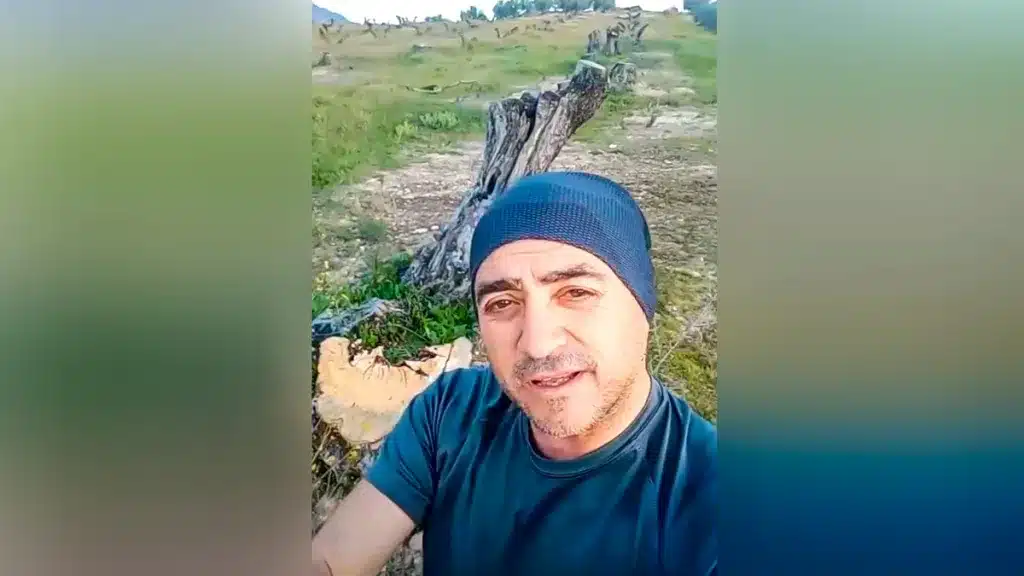 El agricultor ante los olivos talados.