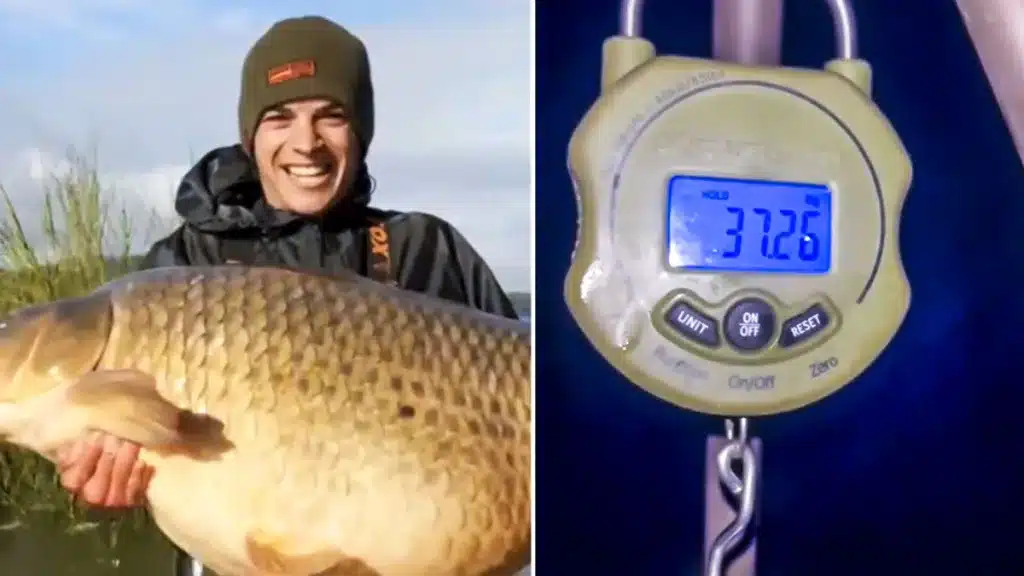 Carpa 37 kilos récord