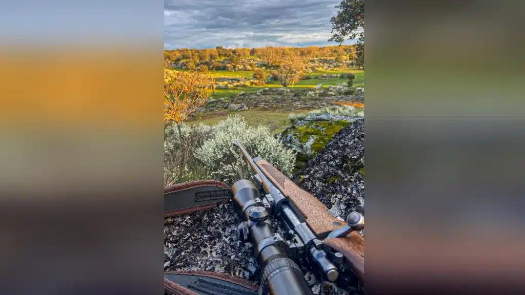 Imagen tomada por la autora desde su puesto.