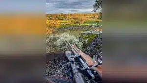 Imagen tomada por la autora desde su puesto.
