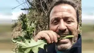 Un hombre de campo enseña en redes a comer ortigas y cardos crudos como si fueran lechuga 