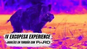 IV Excopesa PARD Experience