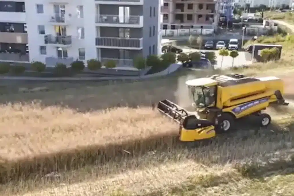 agricultor pisos