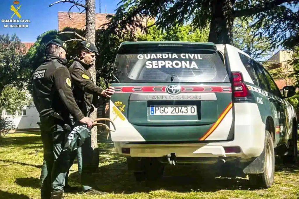 furtivo Cuenca