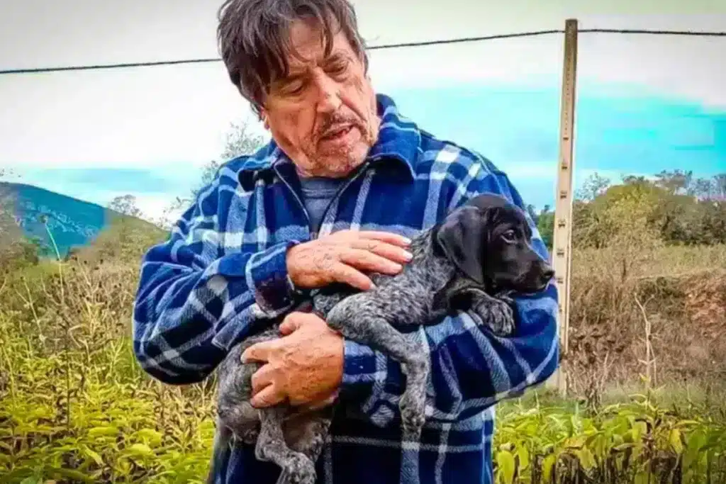 Multa perro adoptado
