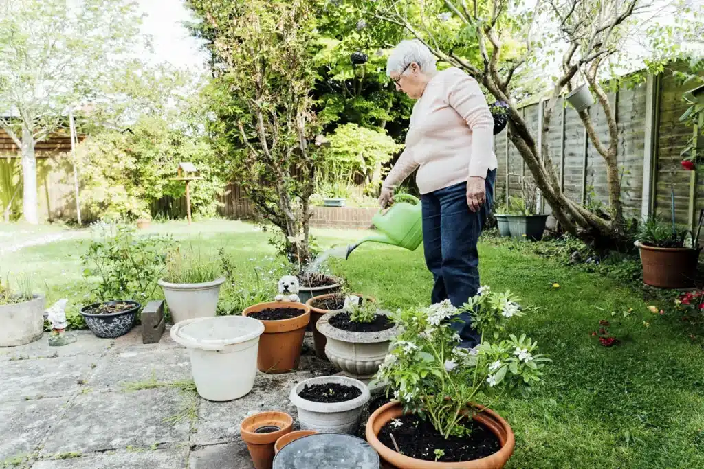 abuela piedras rojas jardín