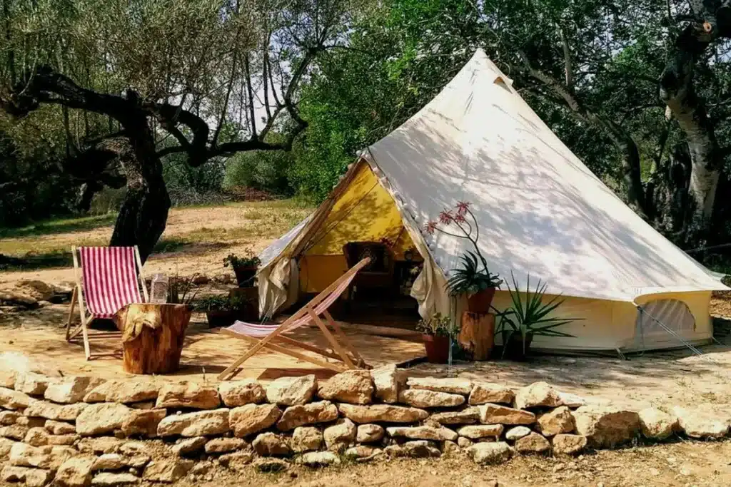 tienda de campaña olivar
