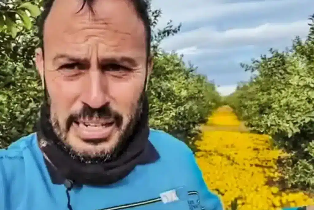 agricultor limones