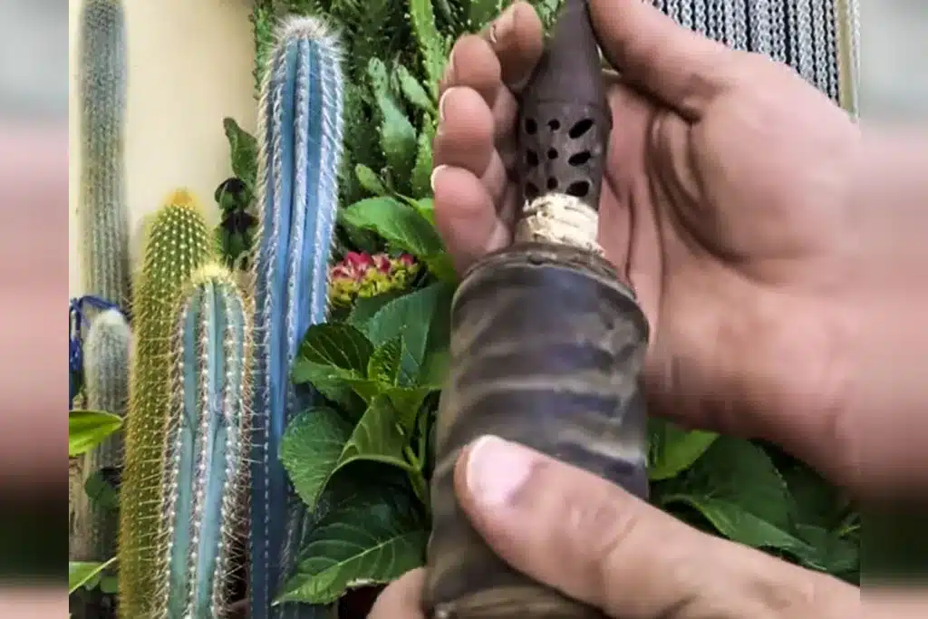 reclamo perdiz abuelo