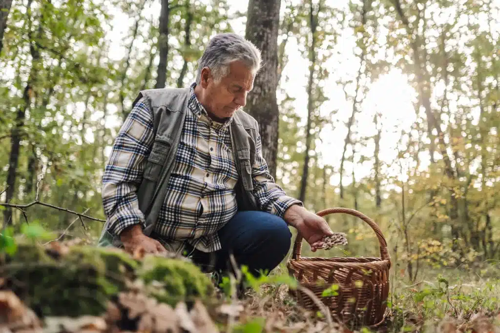 ancianos multa setas