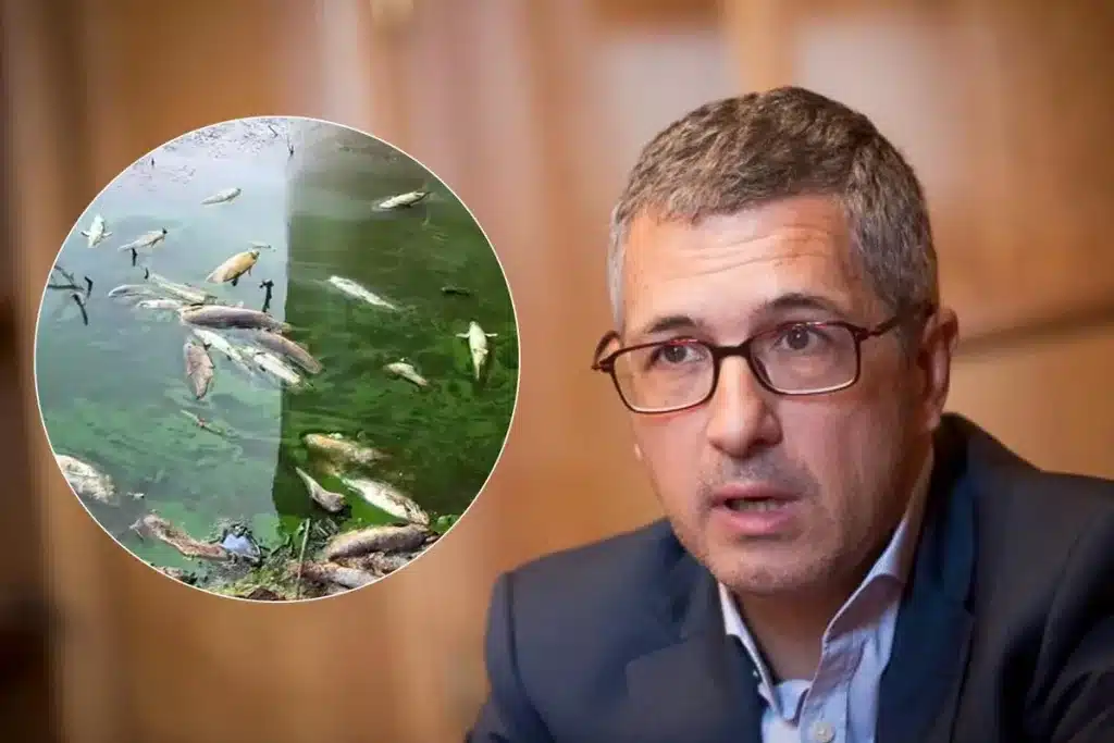 Hugo Morán, secretario de estado del Ministerio de Transición Ecológica que firmó la adjudicación del contrato.