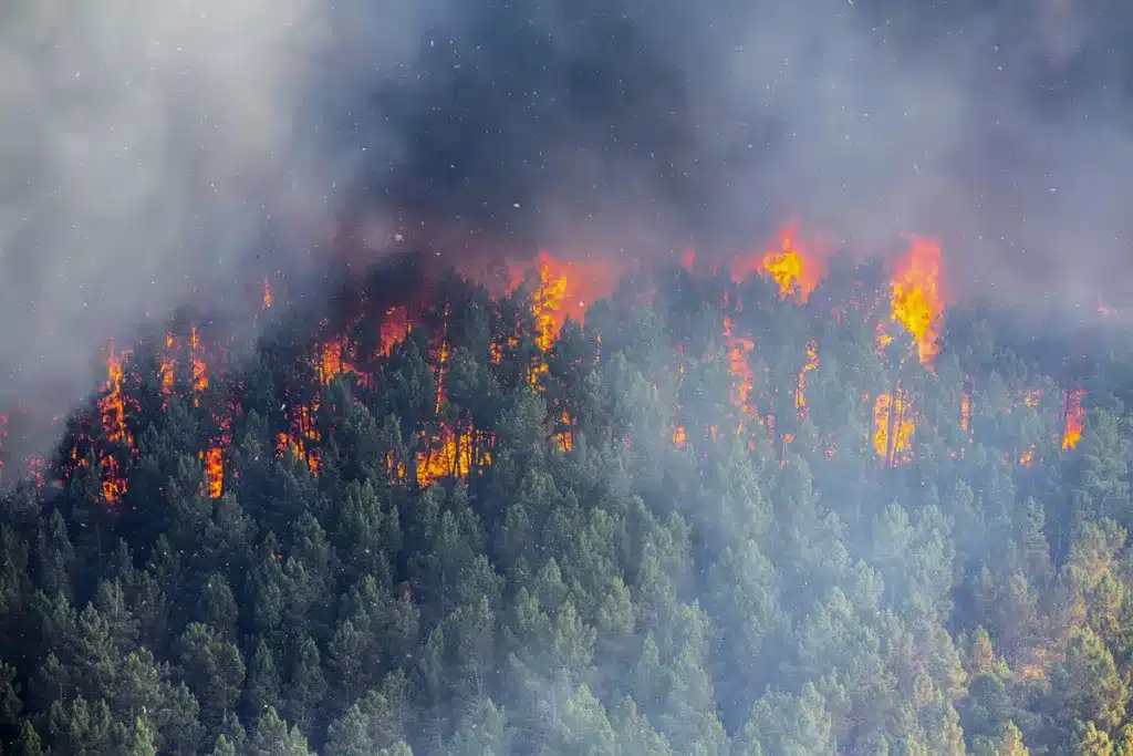 Incendio