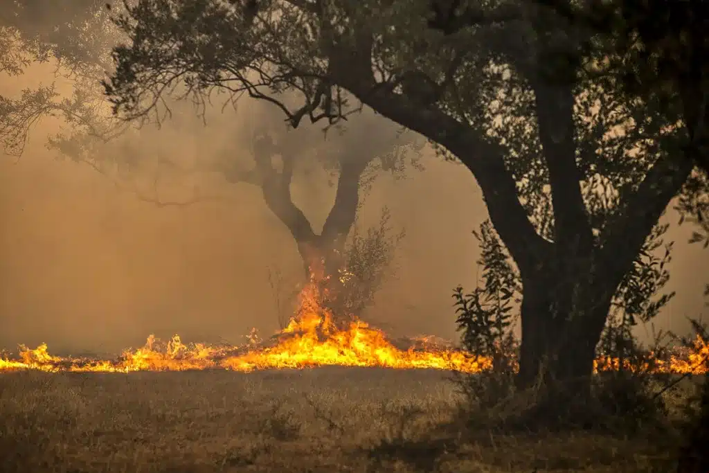 Incendio