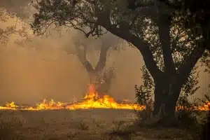 Incendio