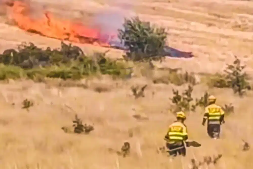 pavesa incendio