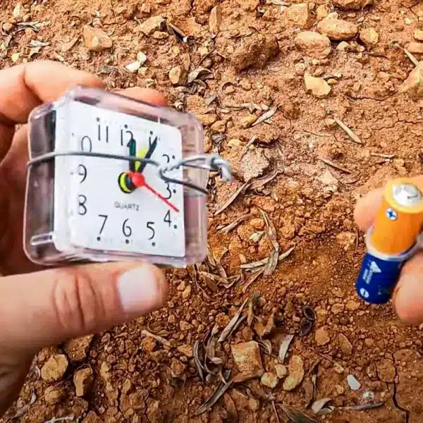 El reloj despertador y la pila.