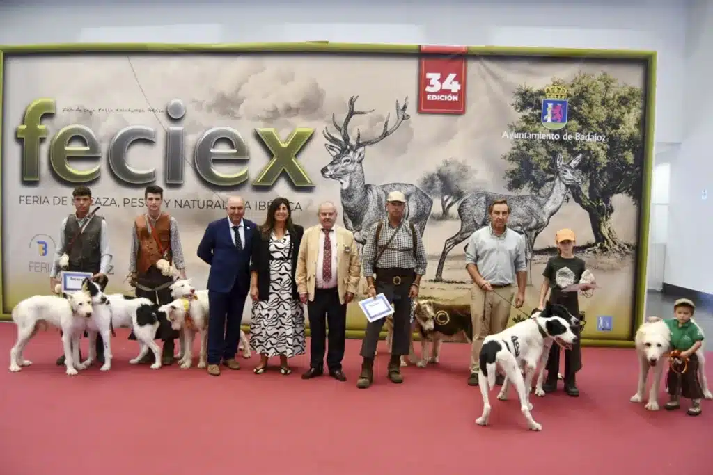 concluye Feciex