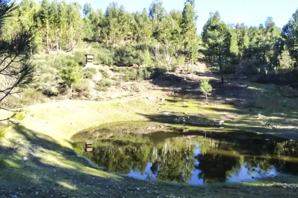 finca caza venta