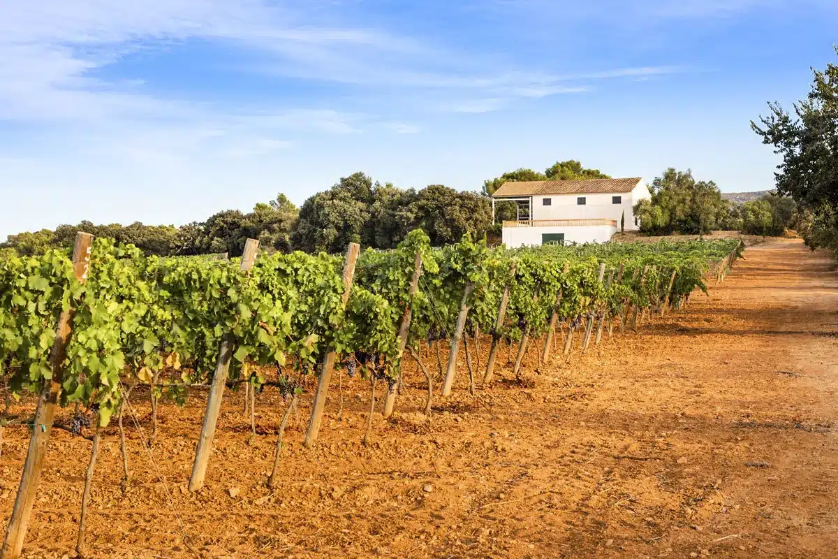 finca rústica venta Hacienda