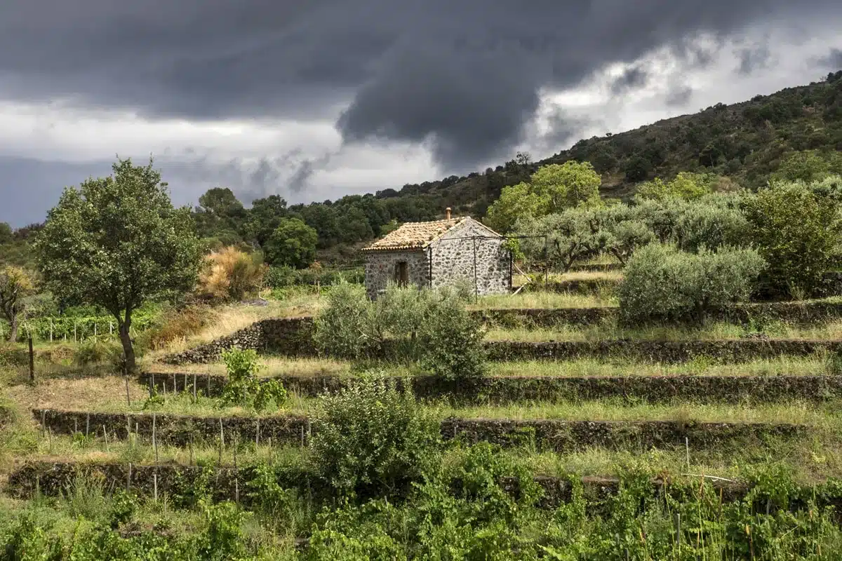 Hacienda vende fincas