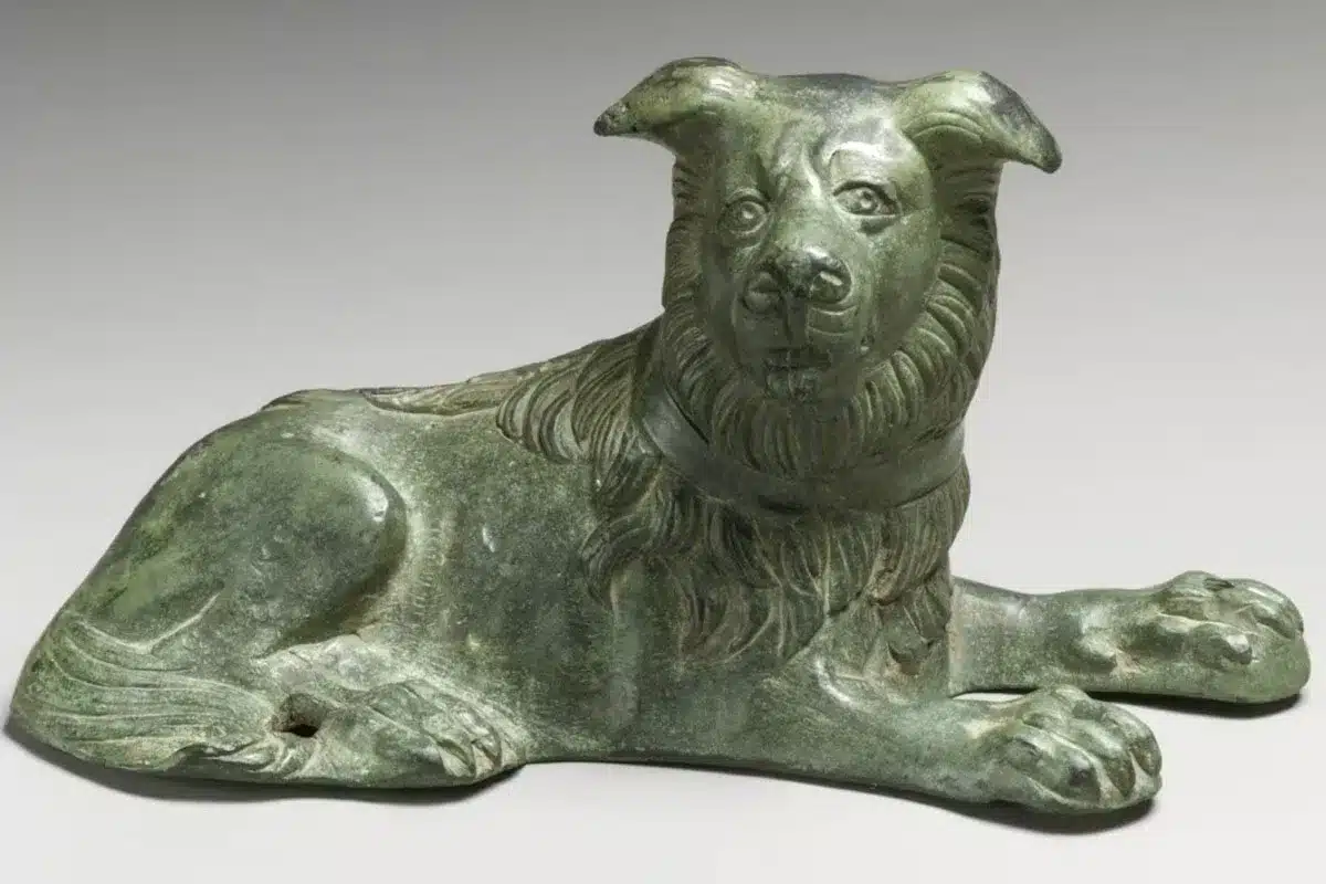 romanos perros