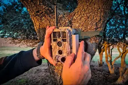 Fototrampeo