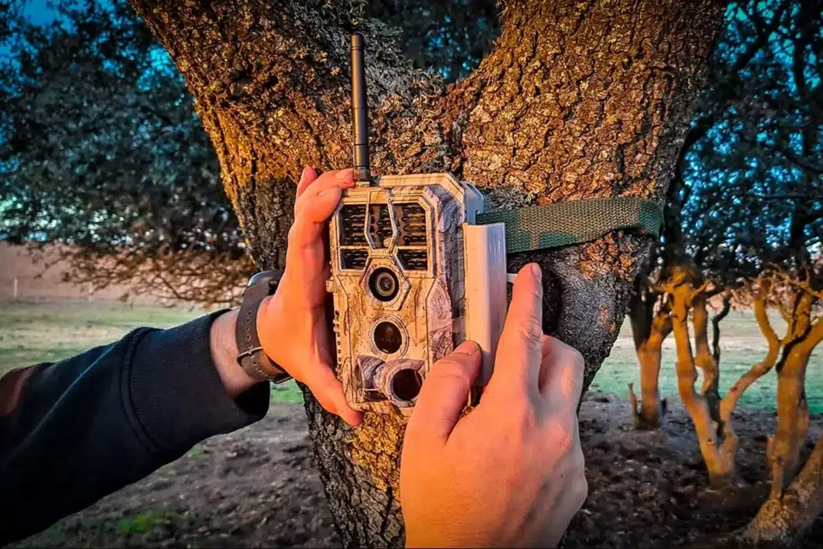 Fototrampeo