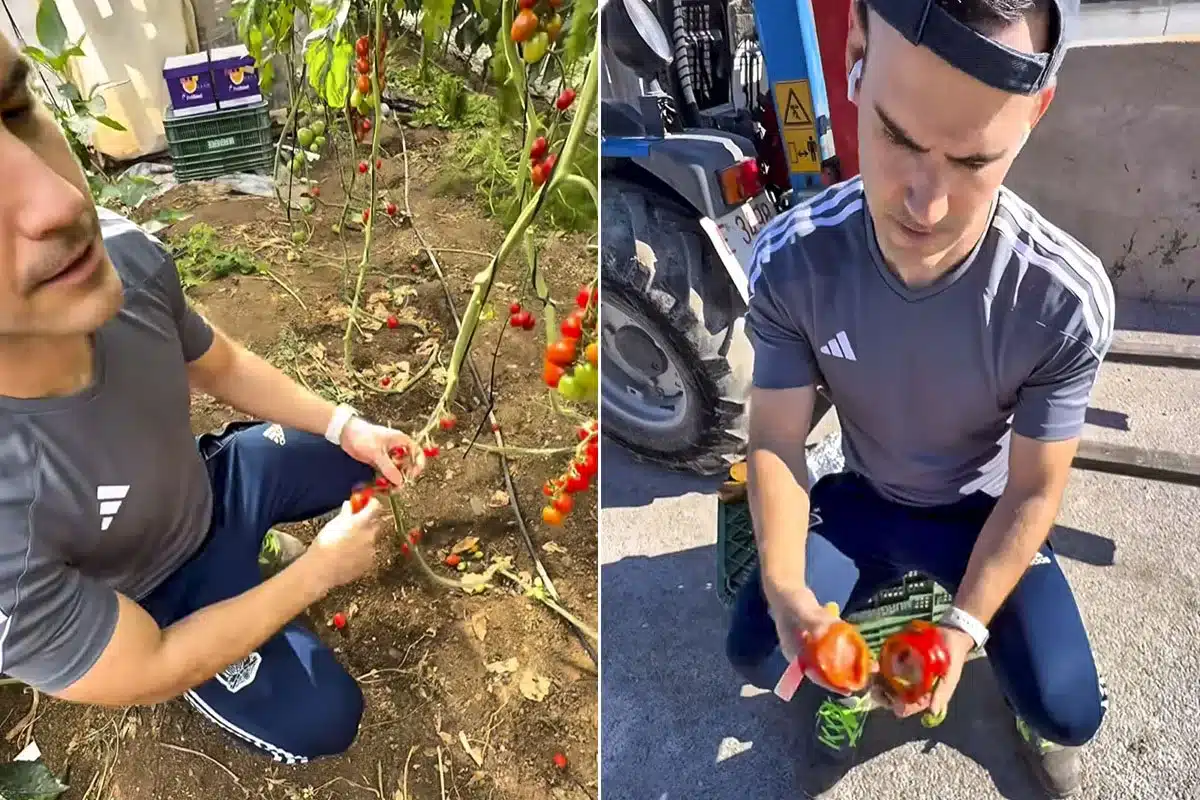 lujo agricultor