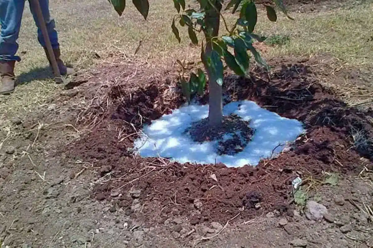 agua en polvo