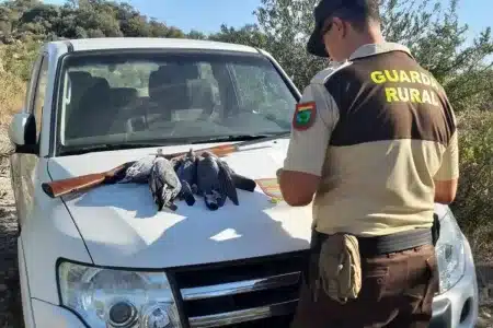 De cazador a Guarda Rural de Caza: la profesión que fija población y protege el campo