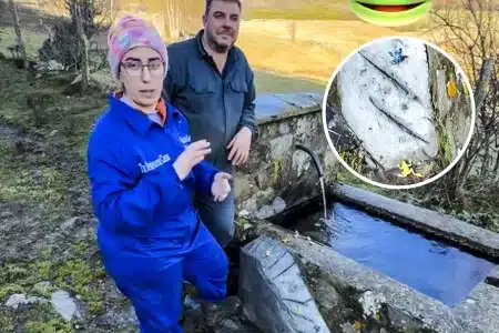 pilon anfibios