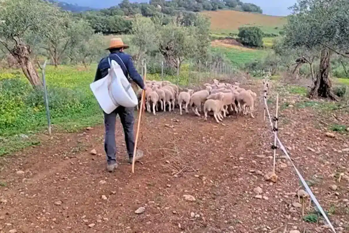 agricultor retretes
