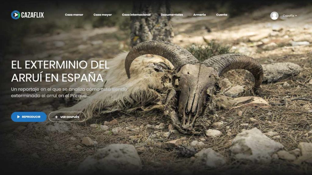 http://stag1.revistajaraysedal.es///wp-content/uploads/2021/08/pesca-galicia-puerto.jpg