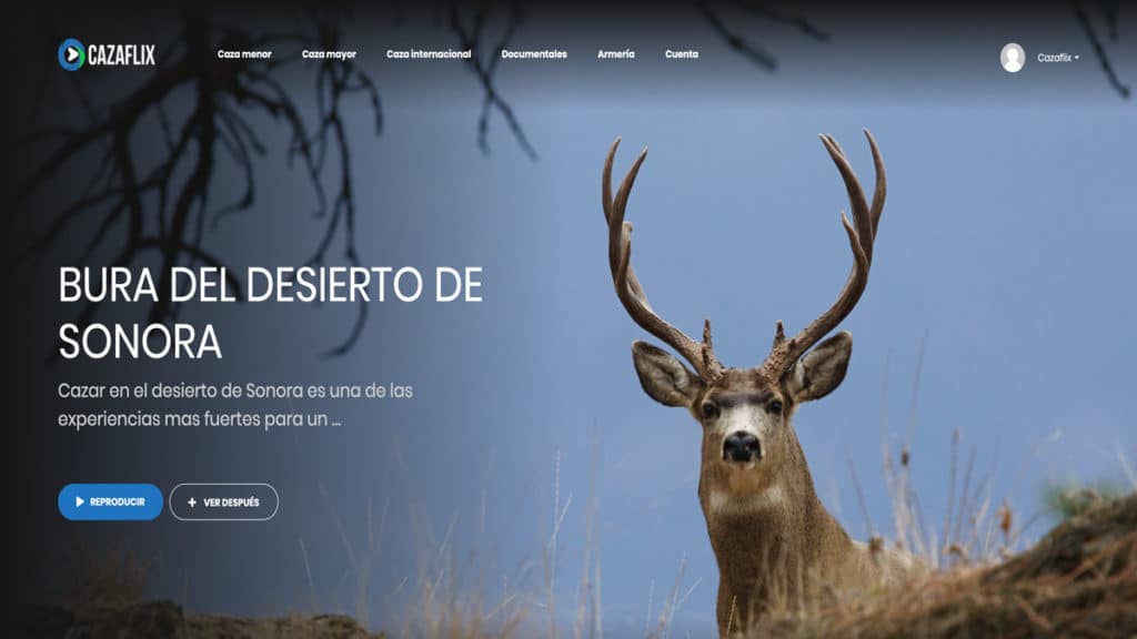 http://stag1.revistajaraysedal.es///wp-content/uploads/2021/08/pesca-galicia-puerto.jpg