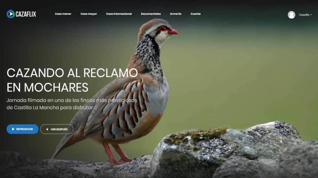 http://stag1.revistajaraysedal.es///wp-content/uploads/2021/08/pesca-galicia-puerto.jpg