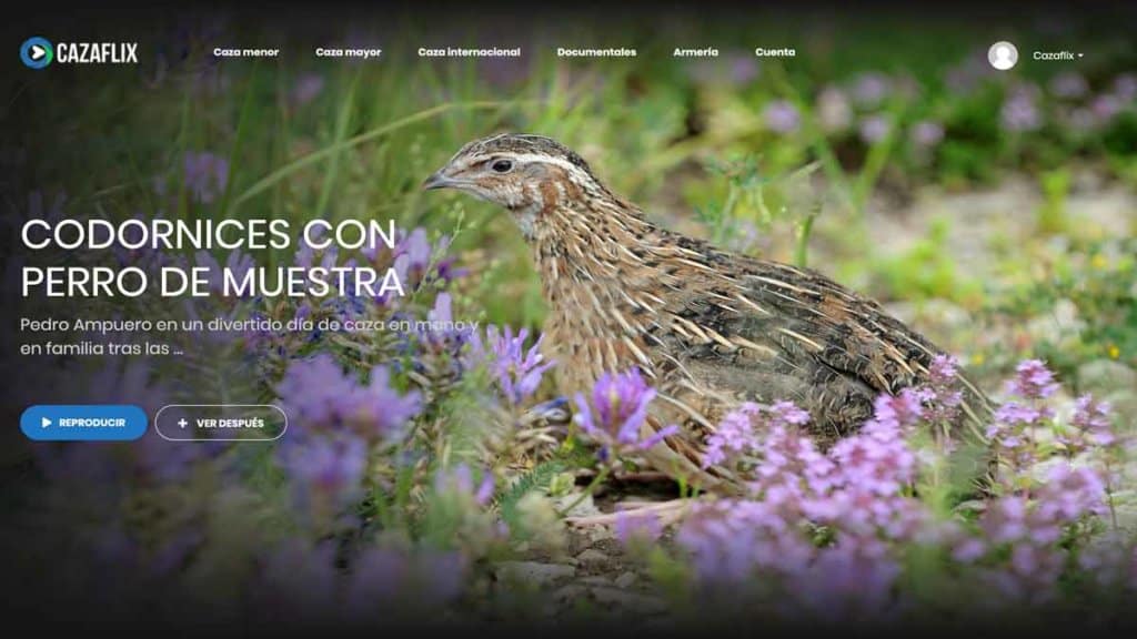 https://revistajaraysedal.es/wp-content/uploads/2021/08/pesca-galicia-puerto.jpg