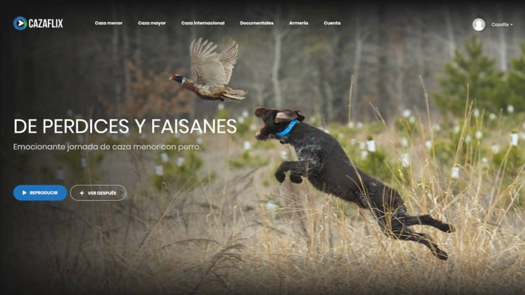http://stag1.revistajaraysedal.es///wp-content/uploads/2021/08/pesca-galicia-puerto.jpg