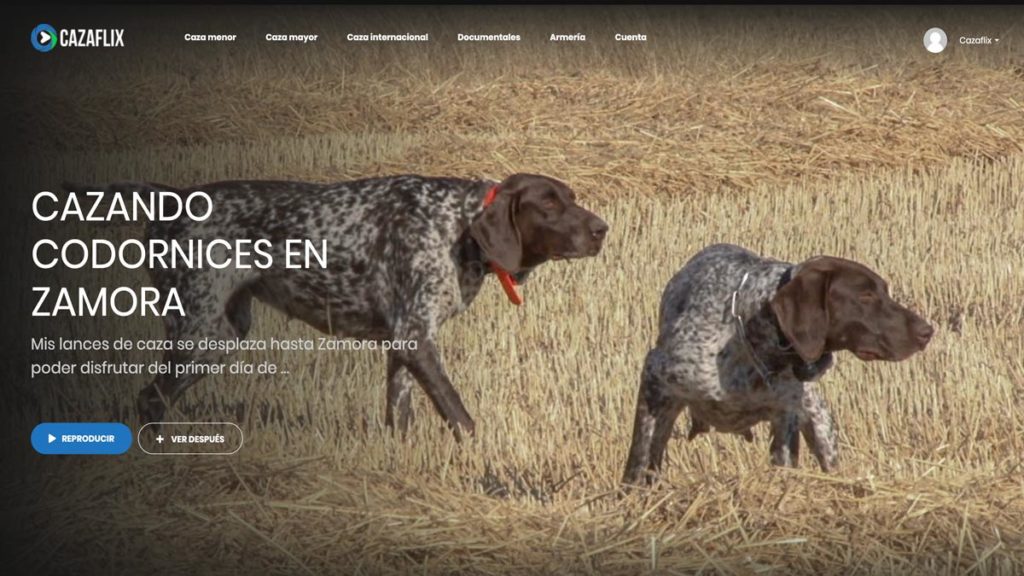 http://stag1.revistajaraysedal.es///wp-content/uploads/2021/08/pesca-galicia-puerto.jpg