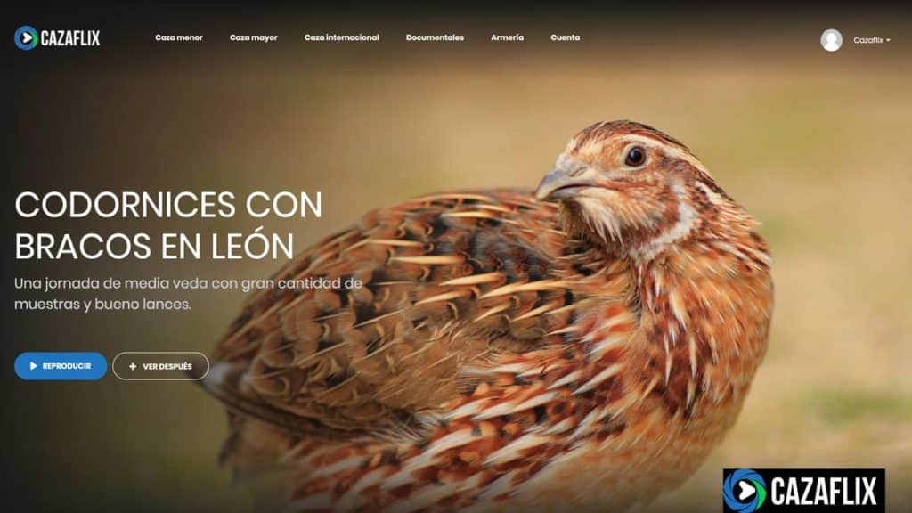 http://stag1.revistajaraysedal.es///wp-content/uploads/2021/08/pesca-galicia-puerto.jpg