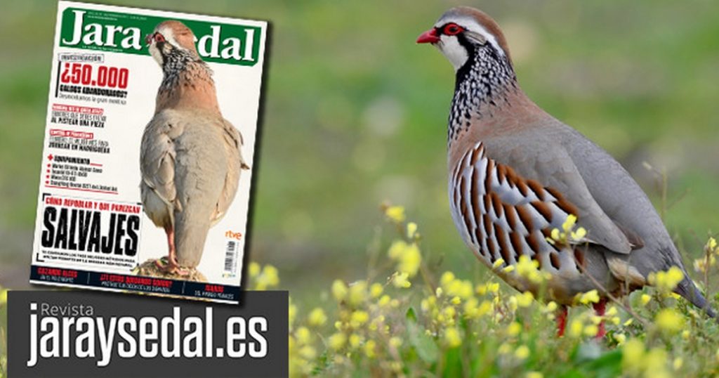 http://stag1.revistajaraysedal.es///wp-content/uploads/2021/08/pesca-galicia-puerto.jpg