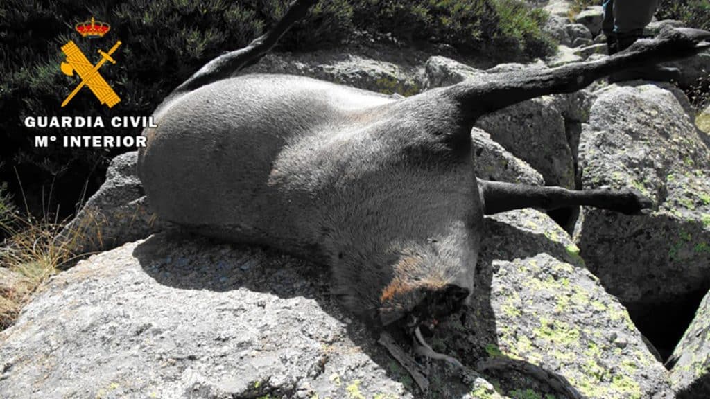 https://revistajaraysedal.es/wp-content/uploads/2021/08/pesca-galicia-puerto.jpg