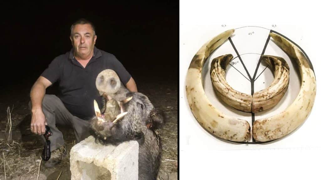 https://revistajaraysedal.es/wp-content/uploads/2021/08/pesca-galicia-puerto.jpg