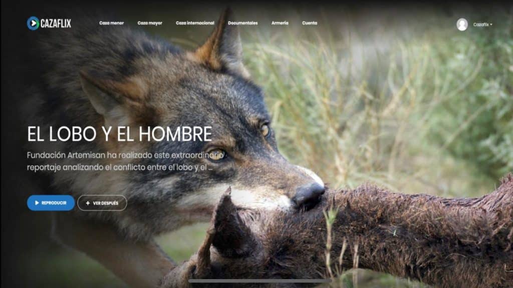 http://stag1.revistajaraysedal.es///wp-content/uploads/2021/08/pesca-galicia-puerto.jpg