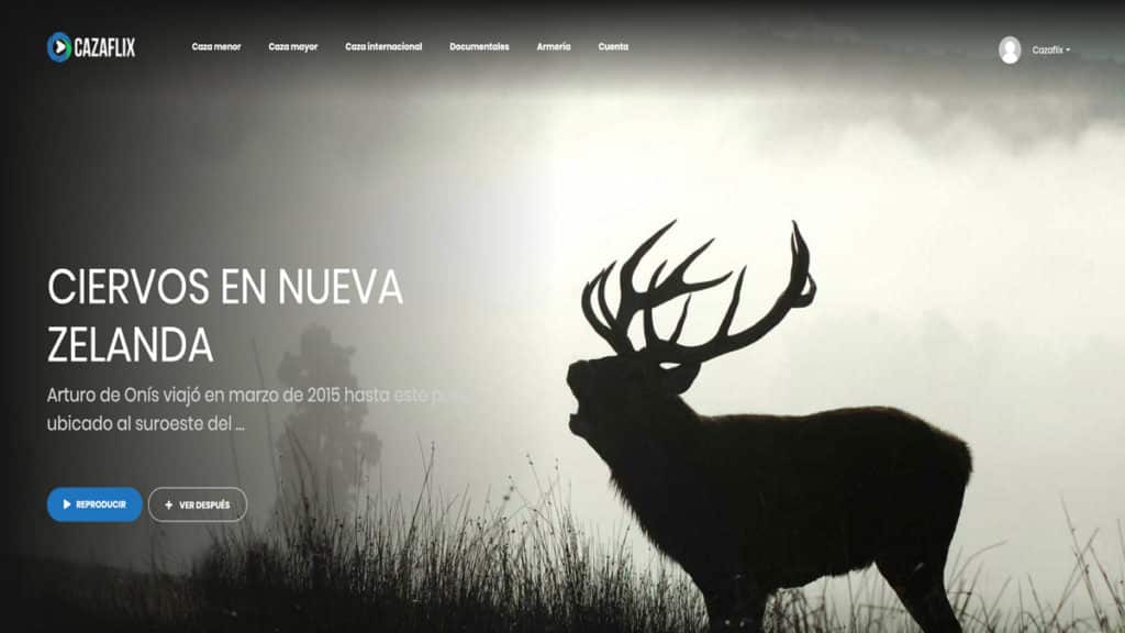 http://stag1.revistajaraysedal.es///wp-content/uploads/2021/08/pesca-galicia-puerto.jpg