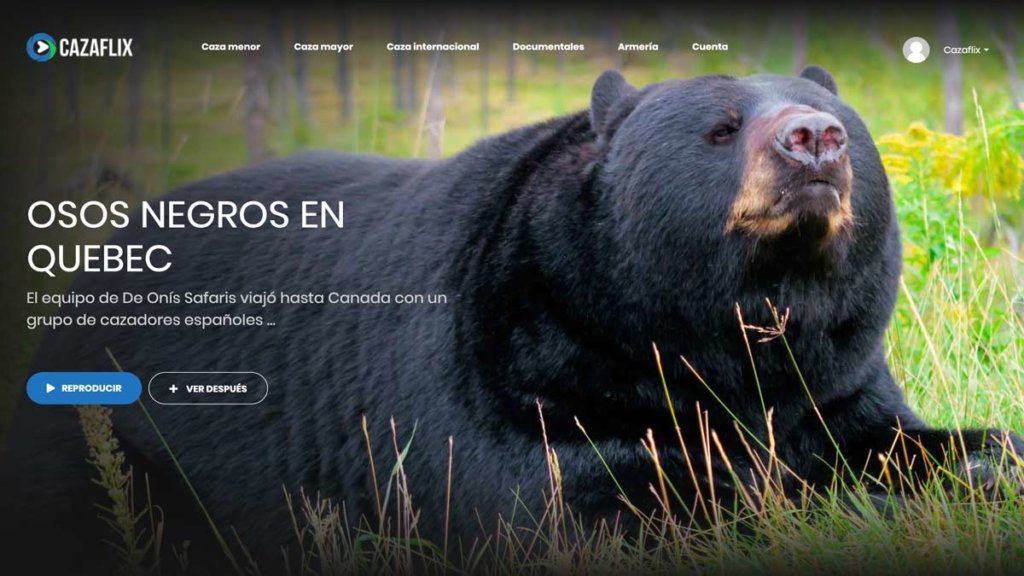 https://revistajaraysedal.es/wp-content/uploads/2021/08/pesca-galicia-puerto.jpg