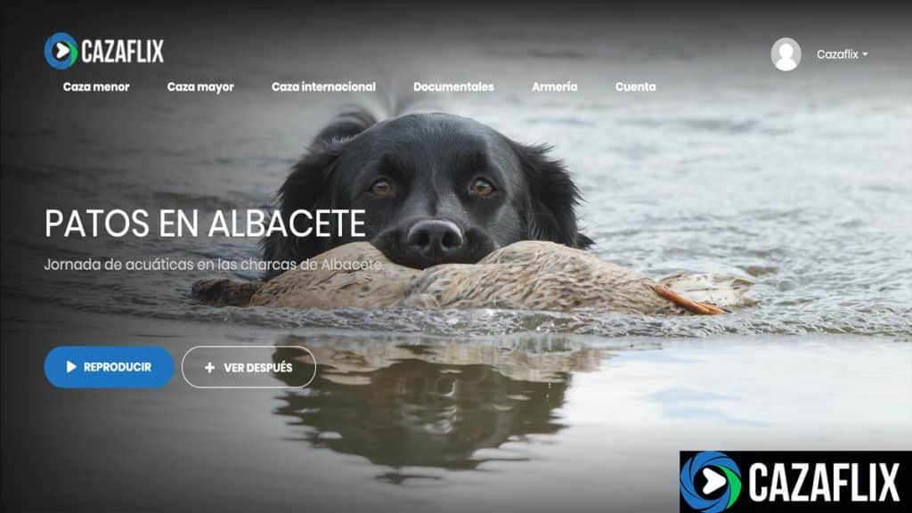 http://stag1.revistajaraysedal.es///wp-content/uploads/2021/08/pesca-galicia-puerto.jpg