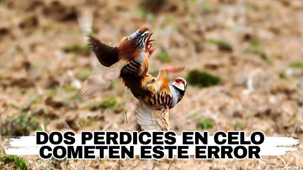 https://revistajaraysedal.es/wp-content/uploads/2021/08/pesca-galicia-puerto.jpg