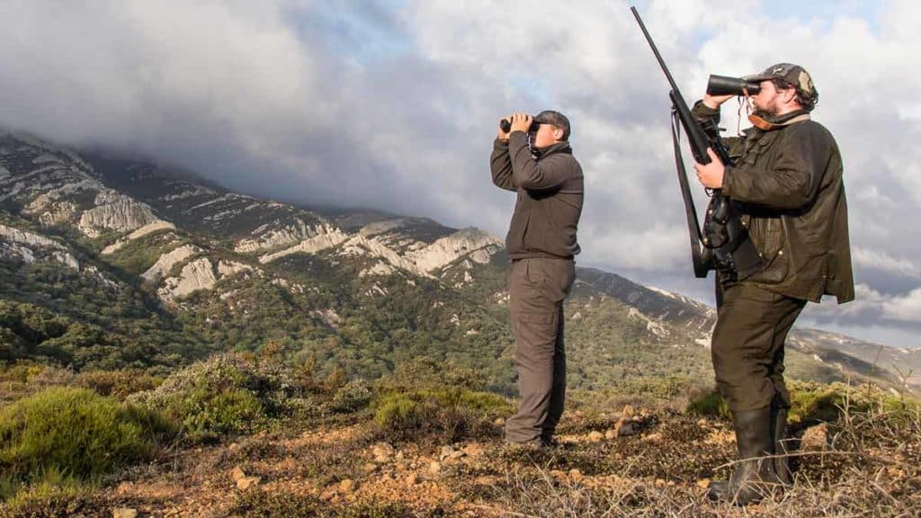 https://revistajaraysedal.es/wp-content/uploads/2021/08/pesca-galicia-puerto.jpg