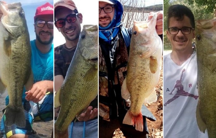 http://stag1.revistajaraysedal.es///wp-content/uploads/2021/08/pesca-galicia-puerto.jpg